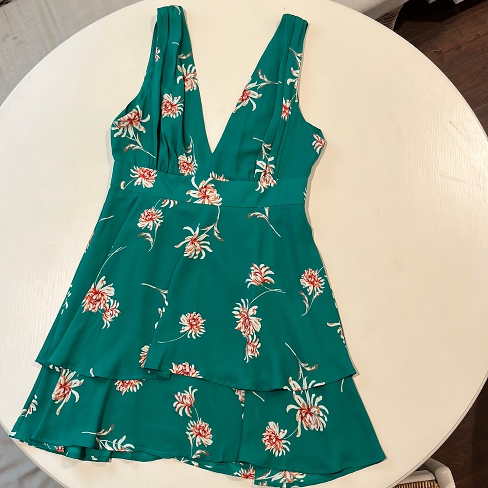 BB Dakota Garden Strolls Mini Dress